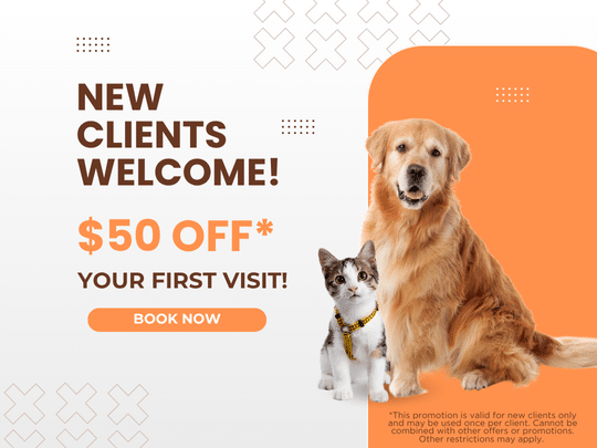 new client promotion graphics